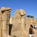 temple_karnak_lux_v_0335_egy3267.jpg